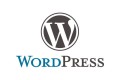 使用WordPress的站长们分享一下贵站的优化成果吧