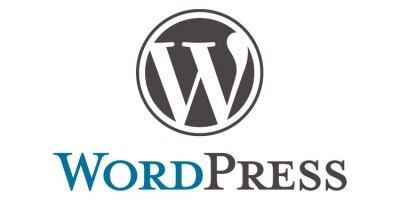 使用WordPress的站长们分享一下贵站的优化成果吧