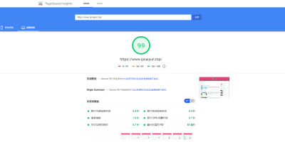 分享一下本站在PageSpeed的最新得分